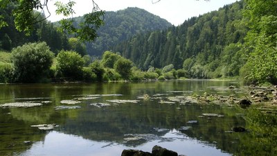 Au bord de "la rivière le Doubs" à Fuesse - Photo Claude Schneider - Copyright