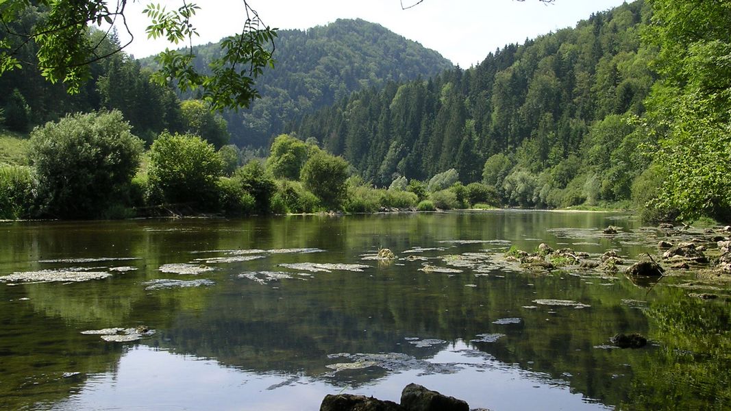 Au bord de "la rivière le Doubs" à Fuesse - Photo Claude Schneider - Copyright