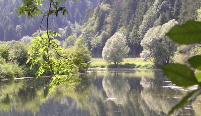 Au bord de "la rivière le Doubs" à Fuesse - Photo Claude Schneider - Copyright