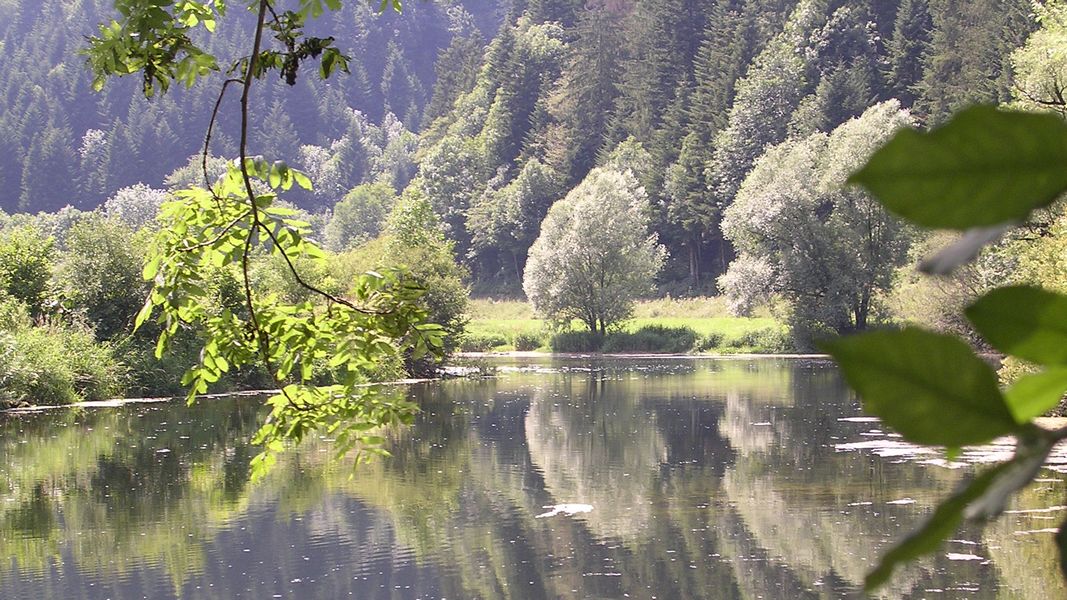 Au bord de "la rivière le Doubs" à Fuesse - Photo Claude Schneider - Copyright