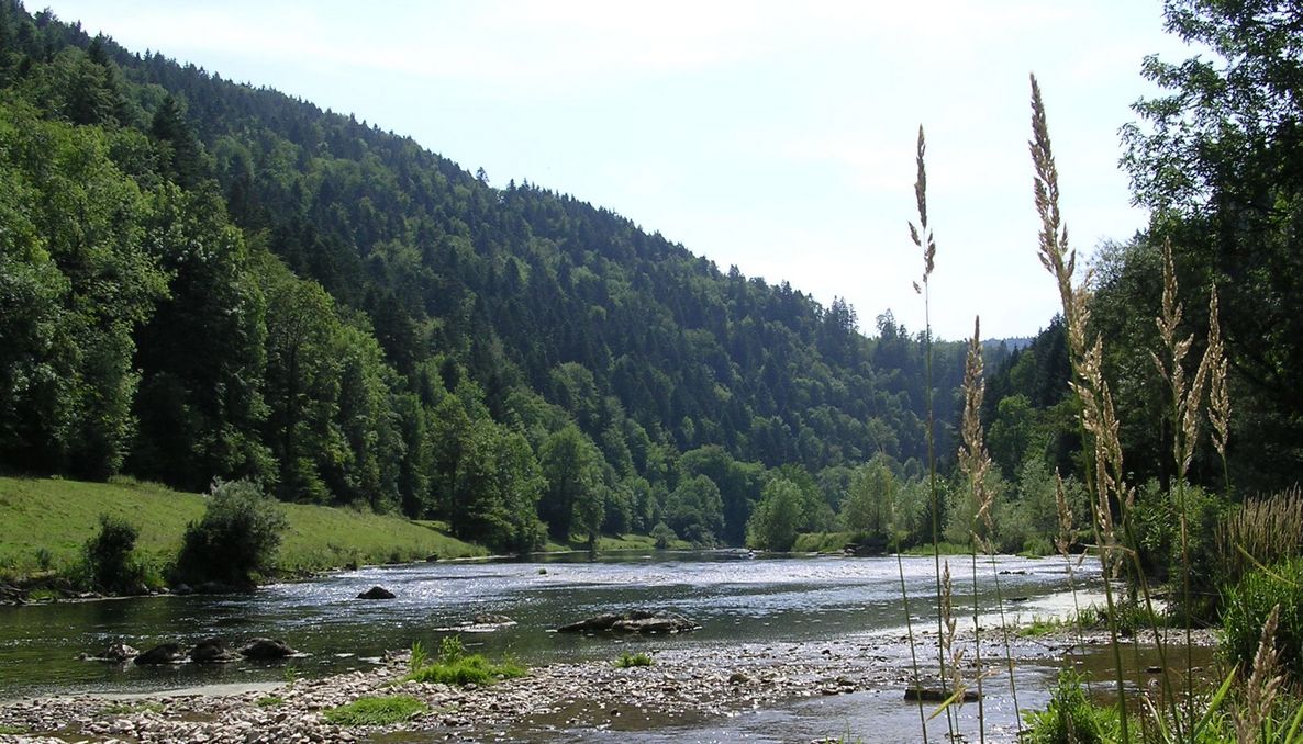Au bord de "la rivière le Doubs" à Fuesse - Photo Claude Schneider - Copyright