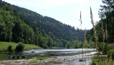 Au bord de "la rivière le Doubs" à Fuesse - Photo Claude Schneider - Copyright