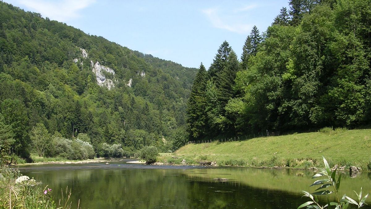 Au bord de "la rivière le Doubs" à Fuesse - Photo Claude Schneider - Copyright