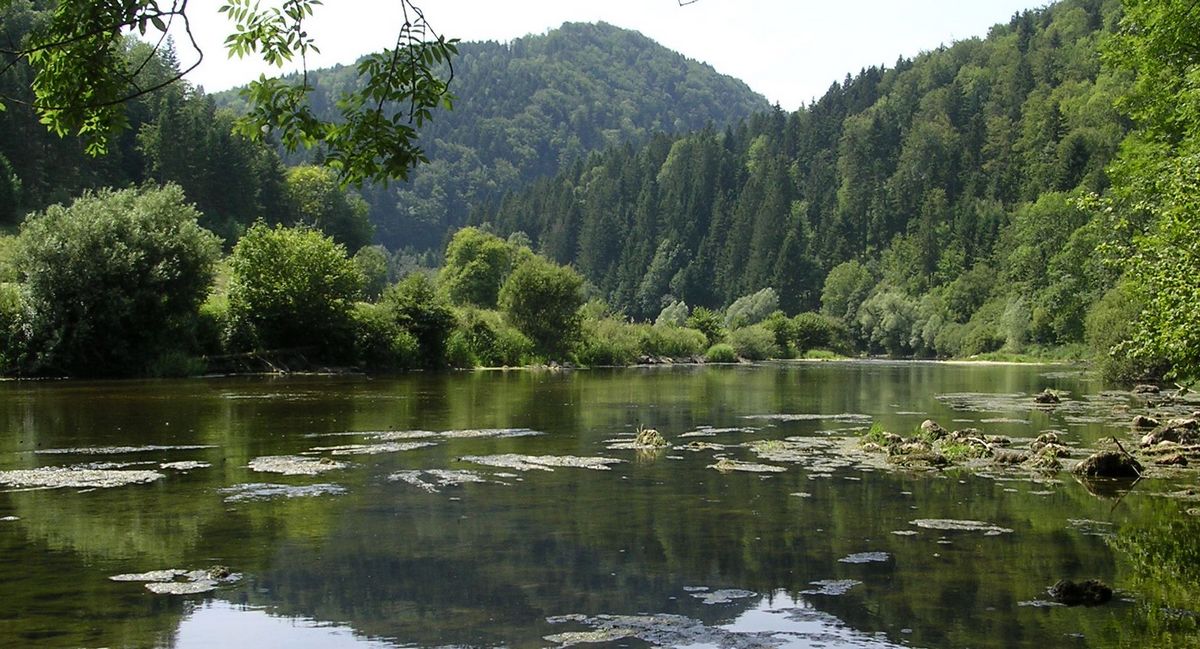 Au bord de "la rivière le Doubs" à Fuesse - Photo Claude Schneider - Copyright