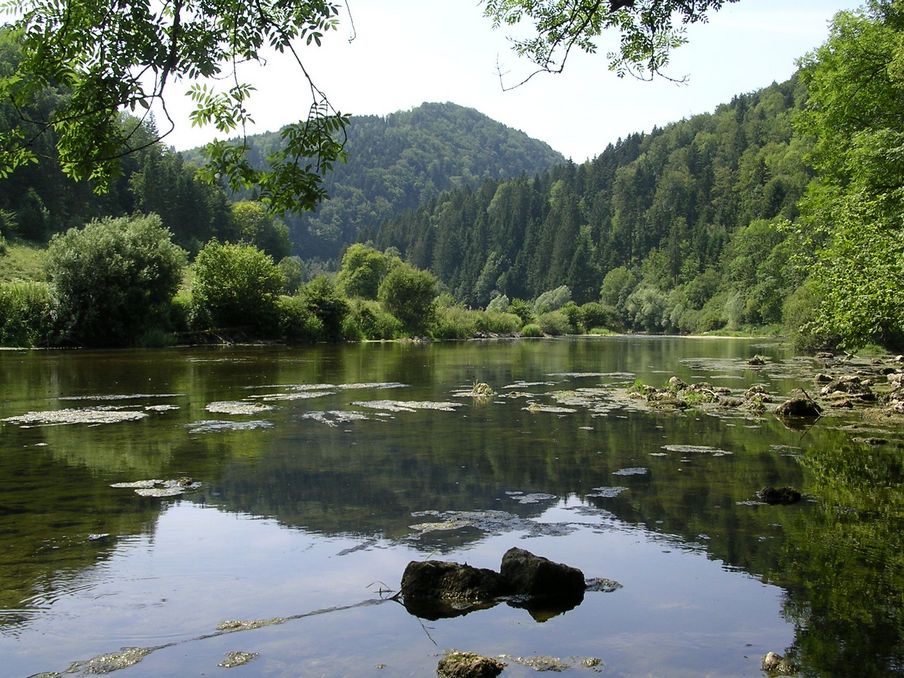 Au bord de "la rivière le Doubs" à Fuesse - Photo Claude Schneider - Copyright