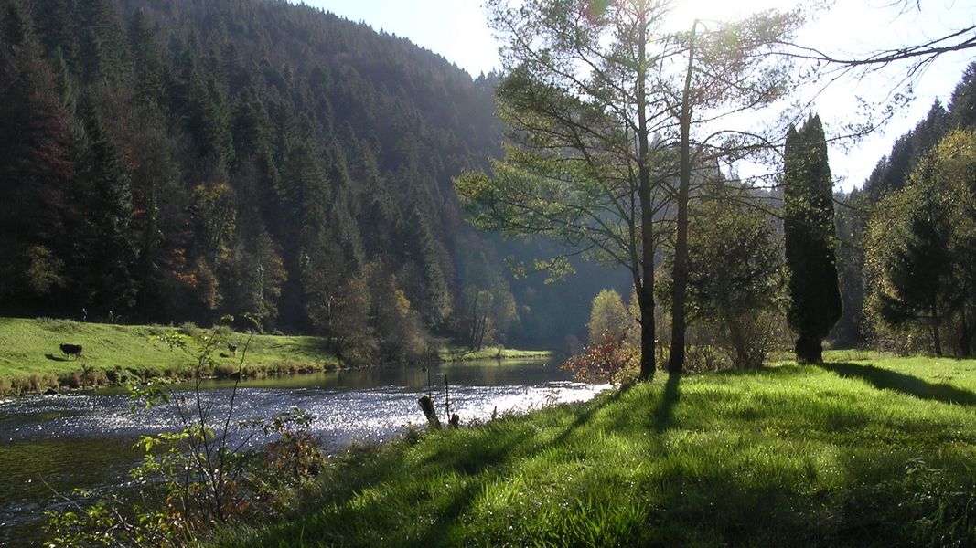 Au bord de "la rivière le Doubs" à Fuesse - Photo Claude Schneider - Copyright