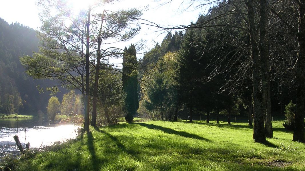 Au bord de "la rivière le Doubs" à Fuesse - Photo Claude Schneider - Copyright