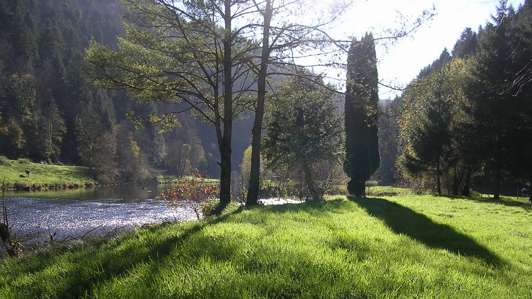 Au bord de "la rivière le Doubs" à Fuesse - Photo Claude Schneider - Copyright