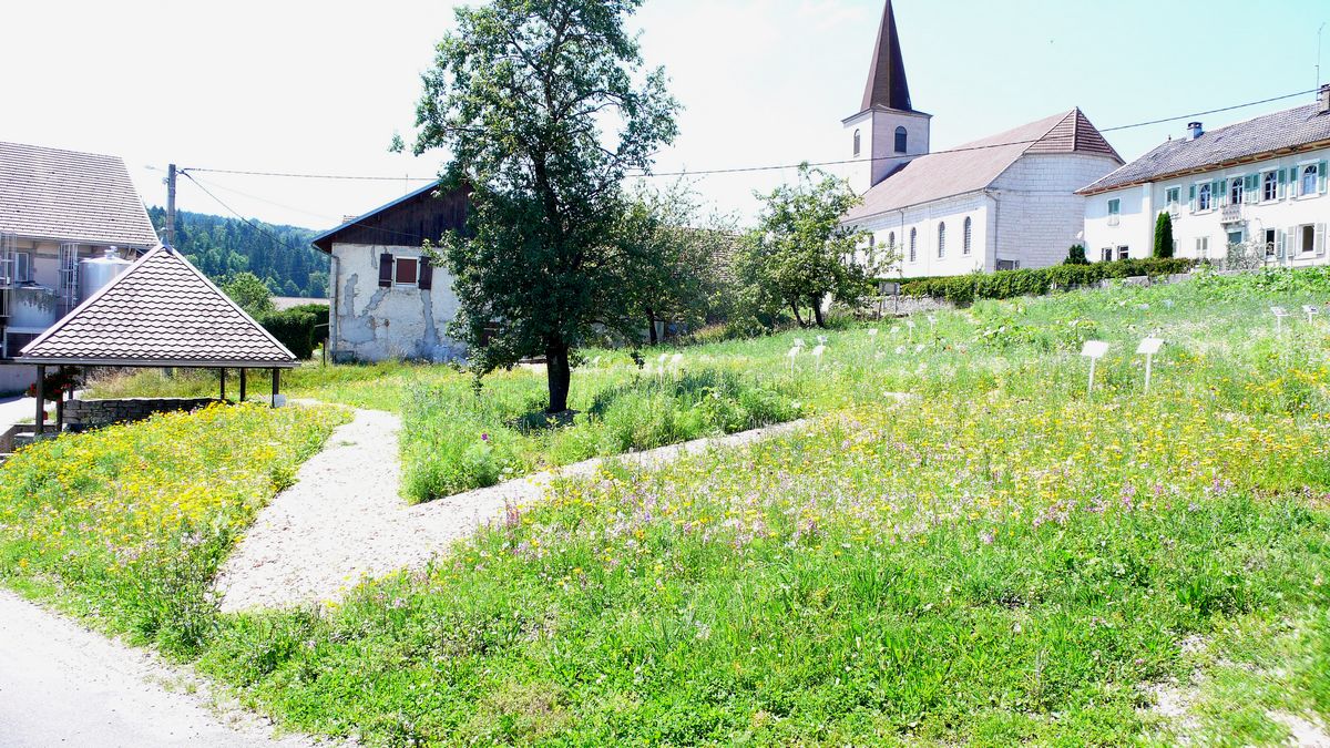 2104 Prairie fleurie