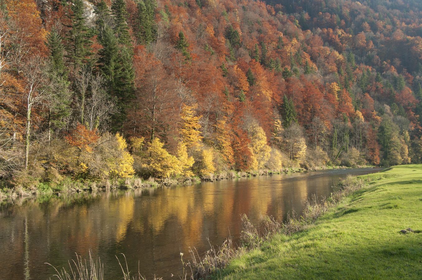 Au bord du Doubs à Fuesse - Photo Jean-François Varriot - Copyrigth