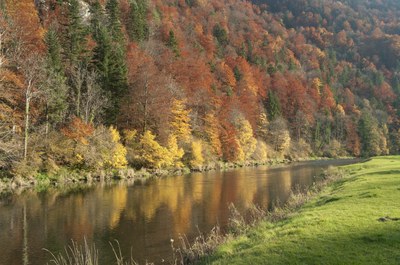 Au bord du Doubs à Fuesse - Photo Jean-François Varriot - Copyrigth