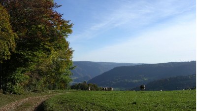 Aux Alleines - Photo Claude Schneider - Copyrigth