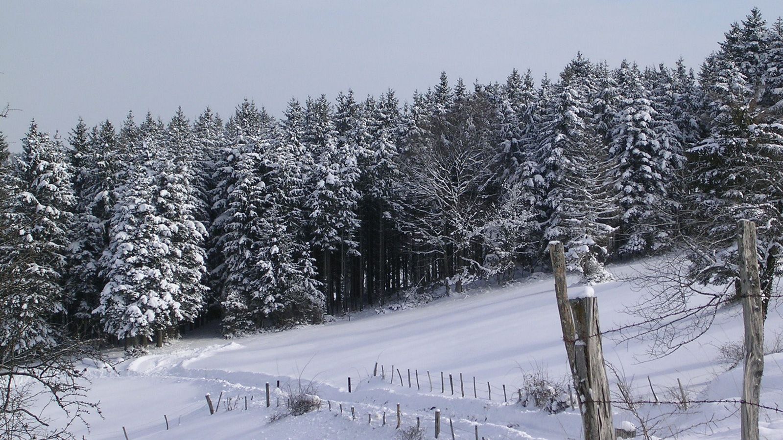 En hiver - Photo Claude Schneider - Copyrigth