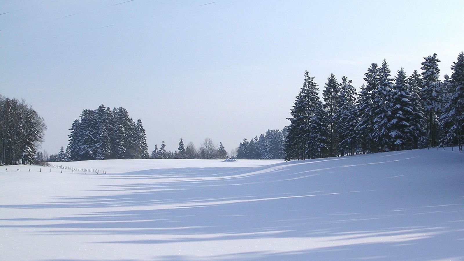 En hiver - Photo Claude Schneider - Copyrigth