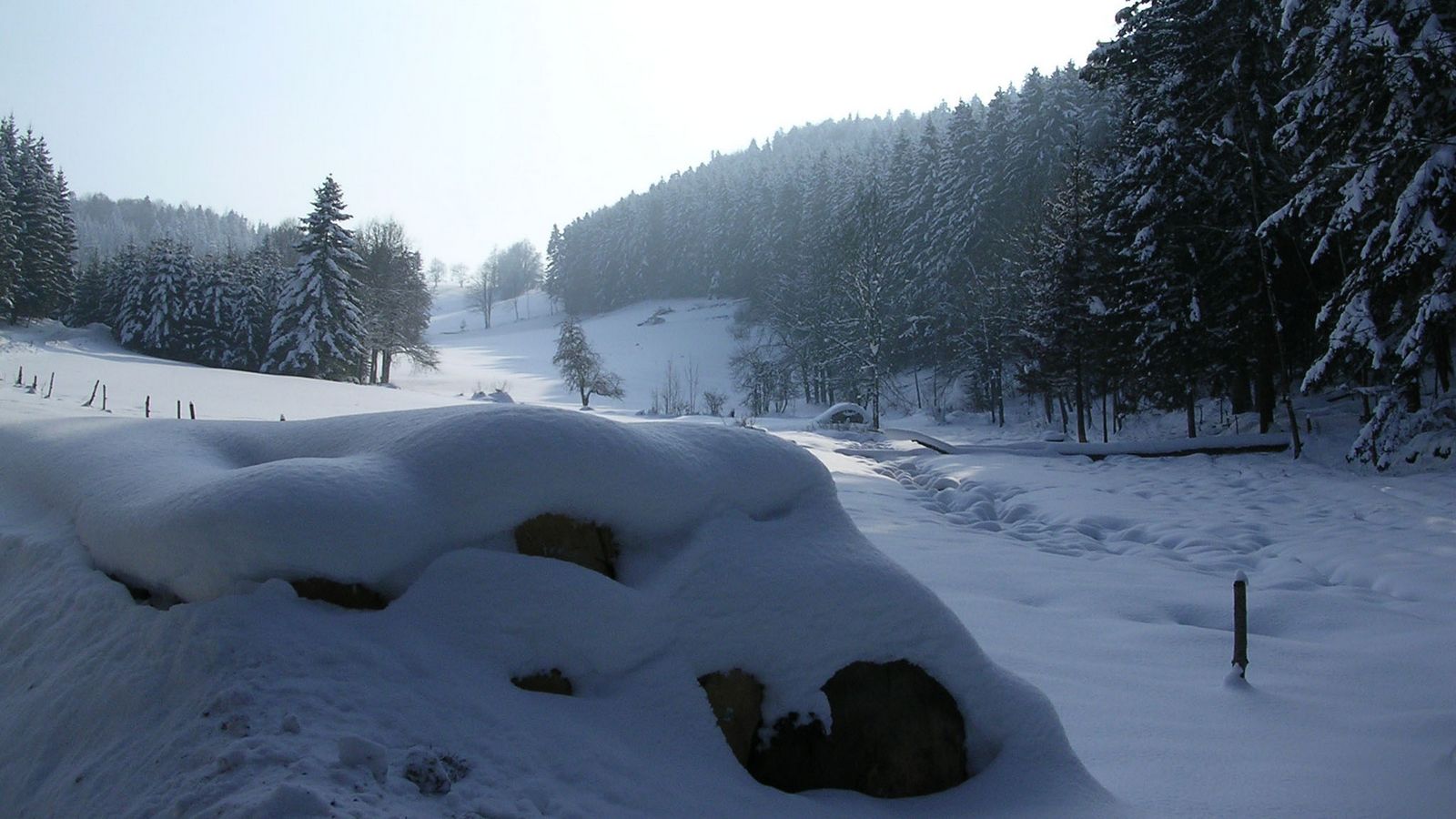 En hiver - Photo Claude Schneider - Copyrigth