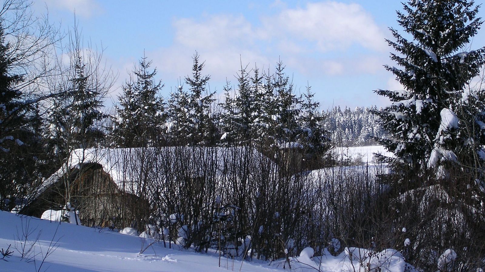 En hiver Aux Planches - Photo Claude Schneider - Copyrigth