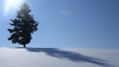 En hiver - Photo Claude Schneider - Copyrigth