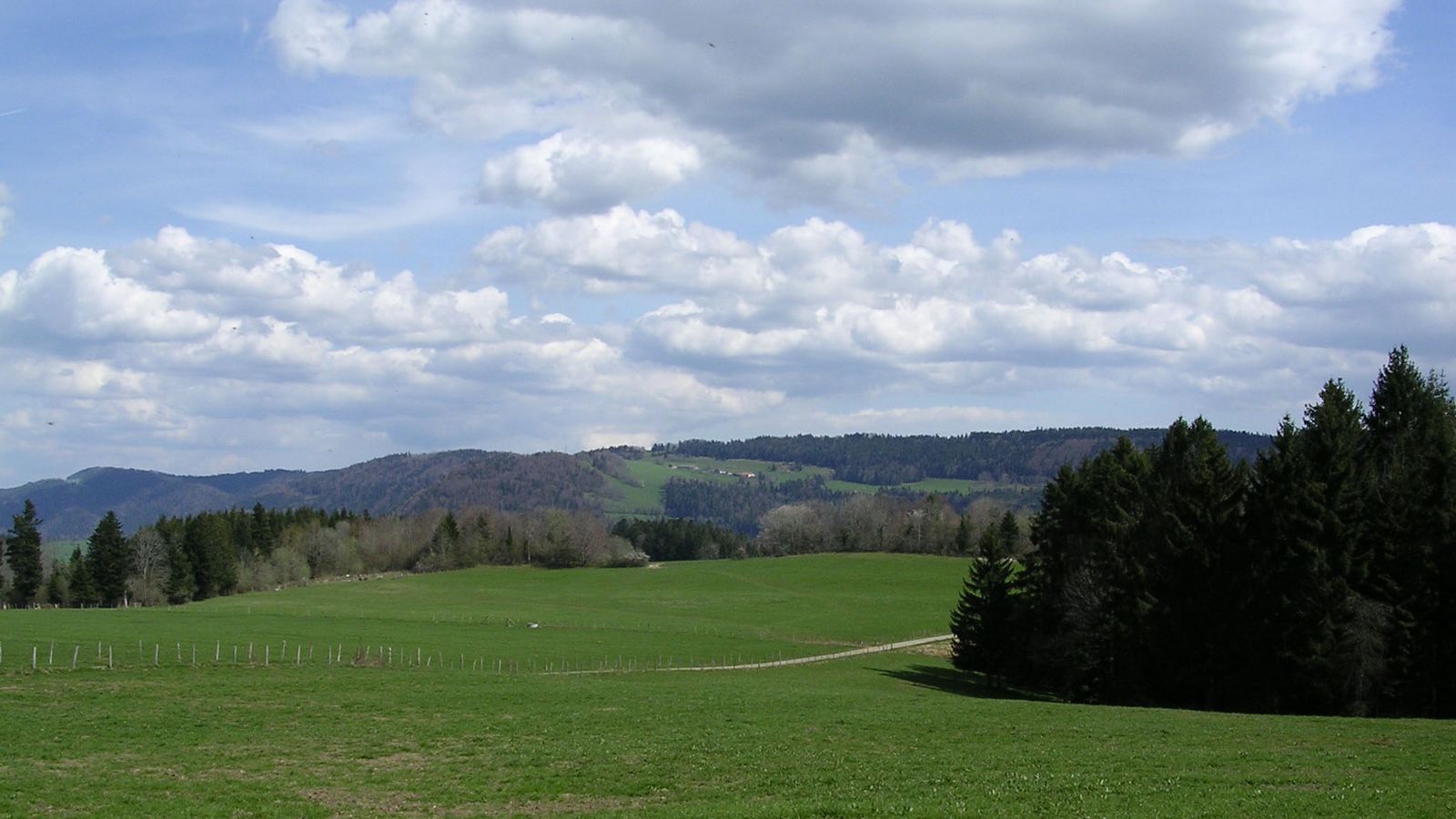En été Aux Bandes - Photo Claude Schneider - Copyrigth