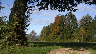 En début d'automne  - Photo Claude Schneider - Copyrigth