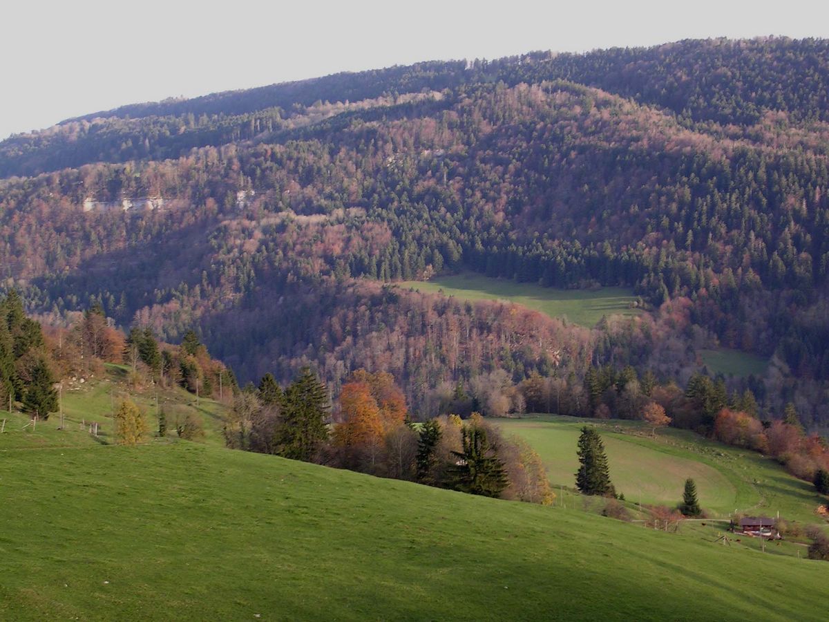 Sur versant suisse  - Photo Claude Schneider - Copyrigth