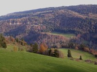 Sur versant suisse  - Photo Claude Schneider - Copyrigth