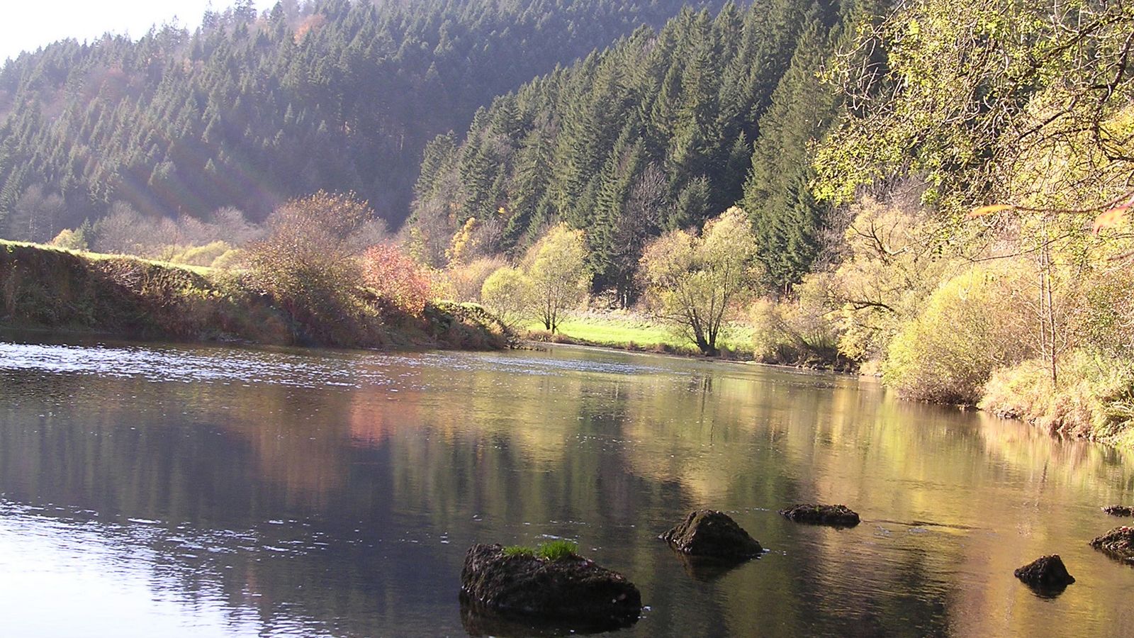 Sur les bords du Doubs à Clairbief - Photo Claude Schneider - Copyrigth