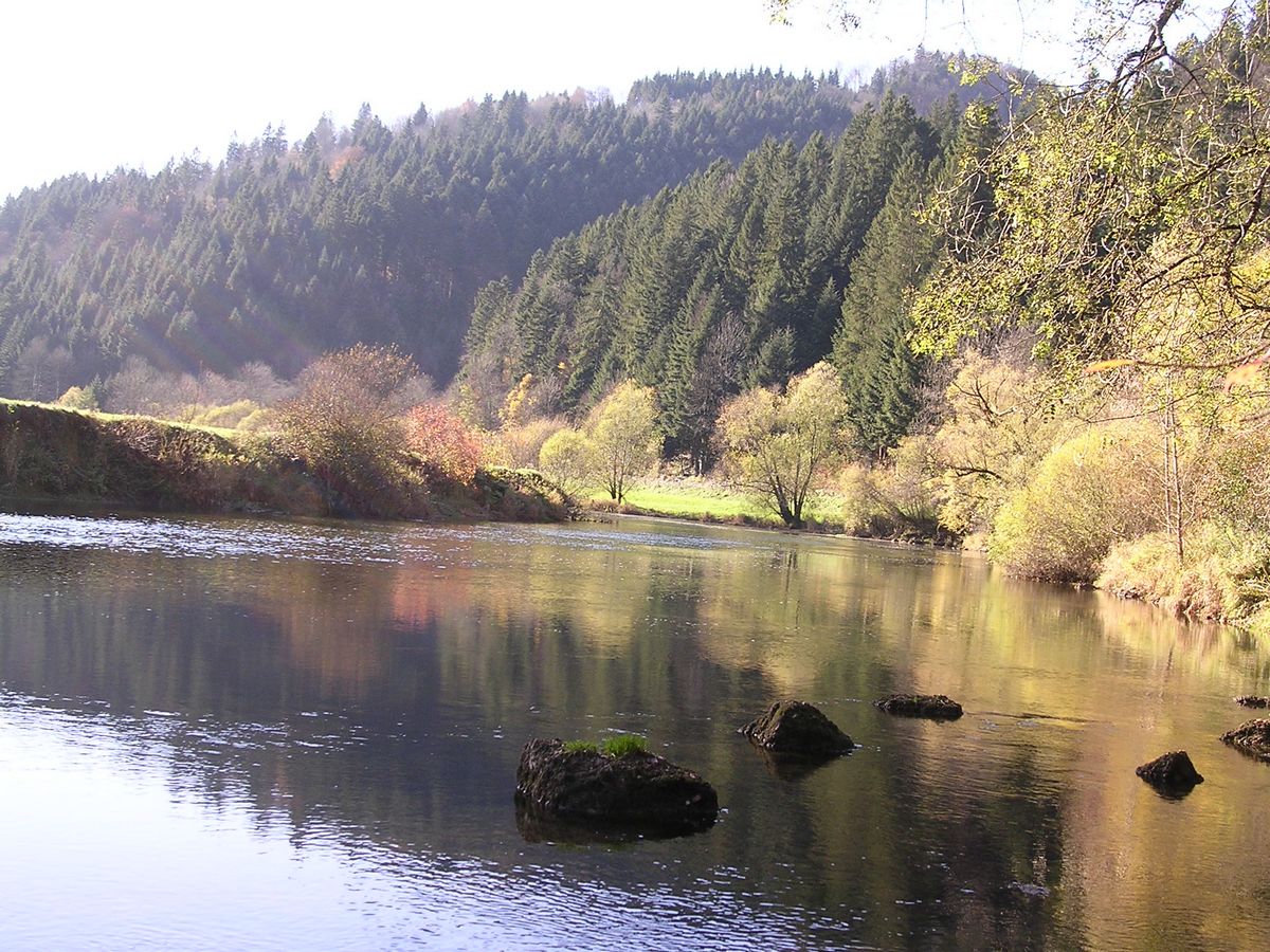 Au printemps au bord du Doubs vers Clairbief - Photo Claude Schneider - Copyrigth