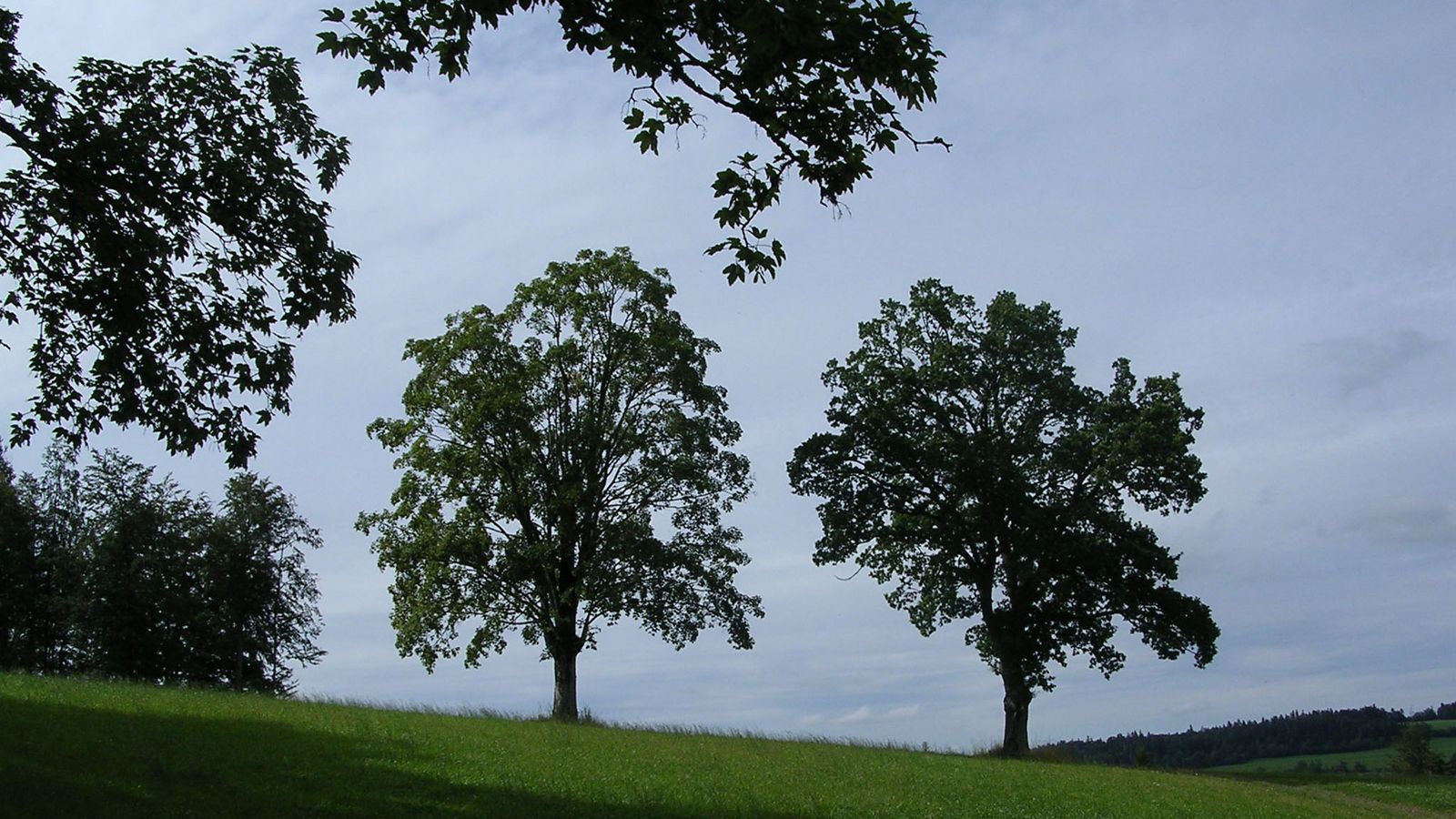 Aux Alleines - Photo Claude Schneider - Copyrigth