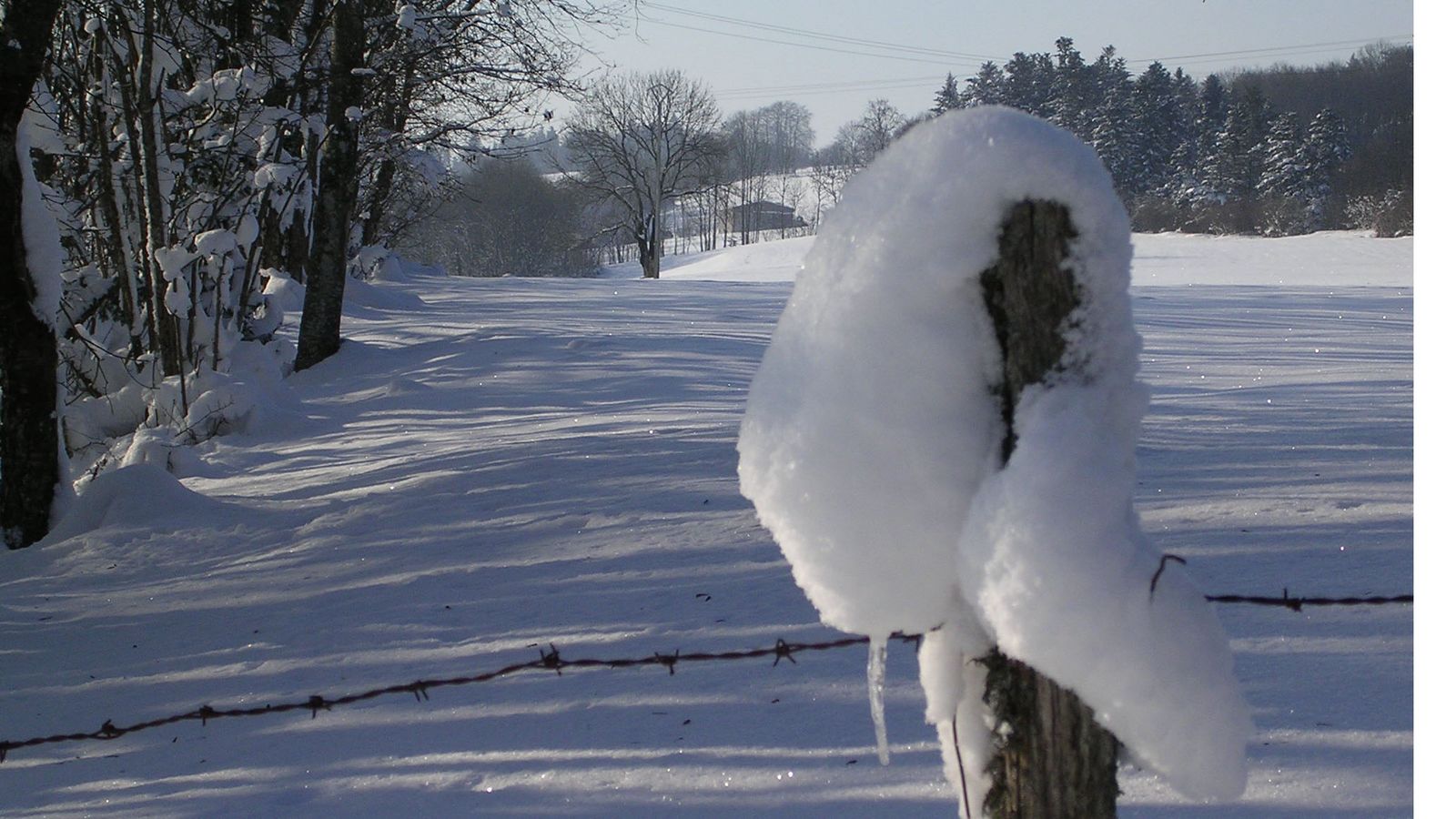 En hiver - Photo Claude Schneider - Copyrigth