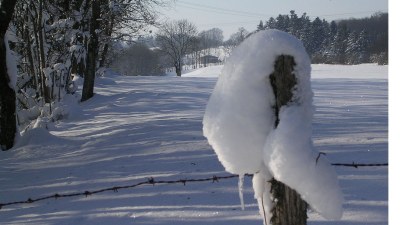 En hiver - Photo Claude Schneider - Copyrigth