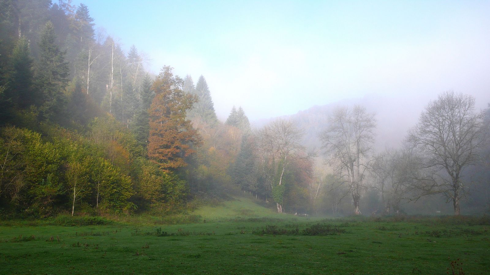 Dans le vallon de Fuesse - Photo Claude Schneider - Copyrigth