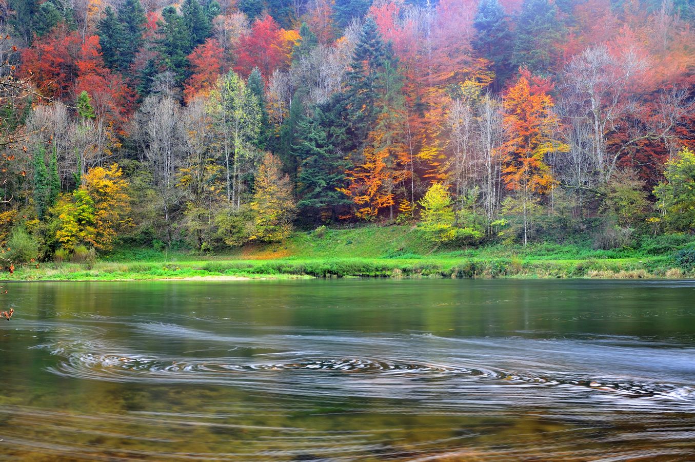 Au Moulin Jeannotat - Photo Jean-François Varriot - Copyrigth