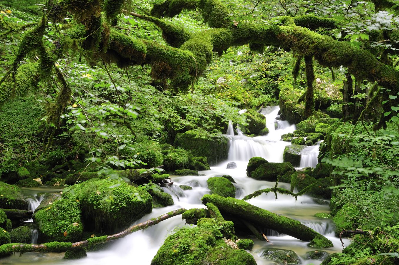 Le bief de Fuesse - Photo Jean-François Varriot - Copyrigth
