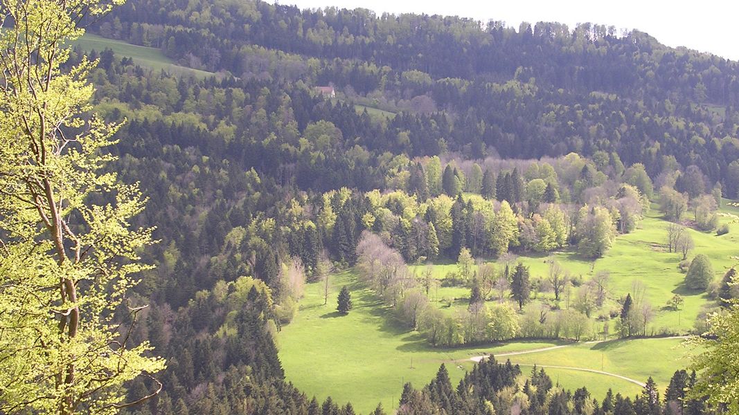 Au printemps - Photo Claude Schneider - Copyrigth