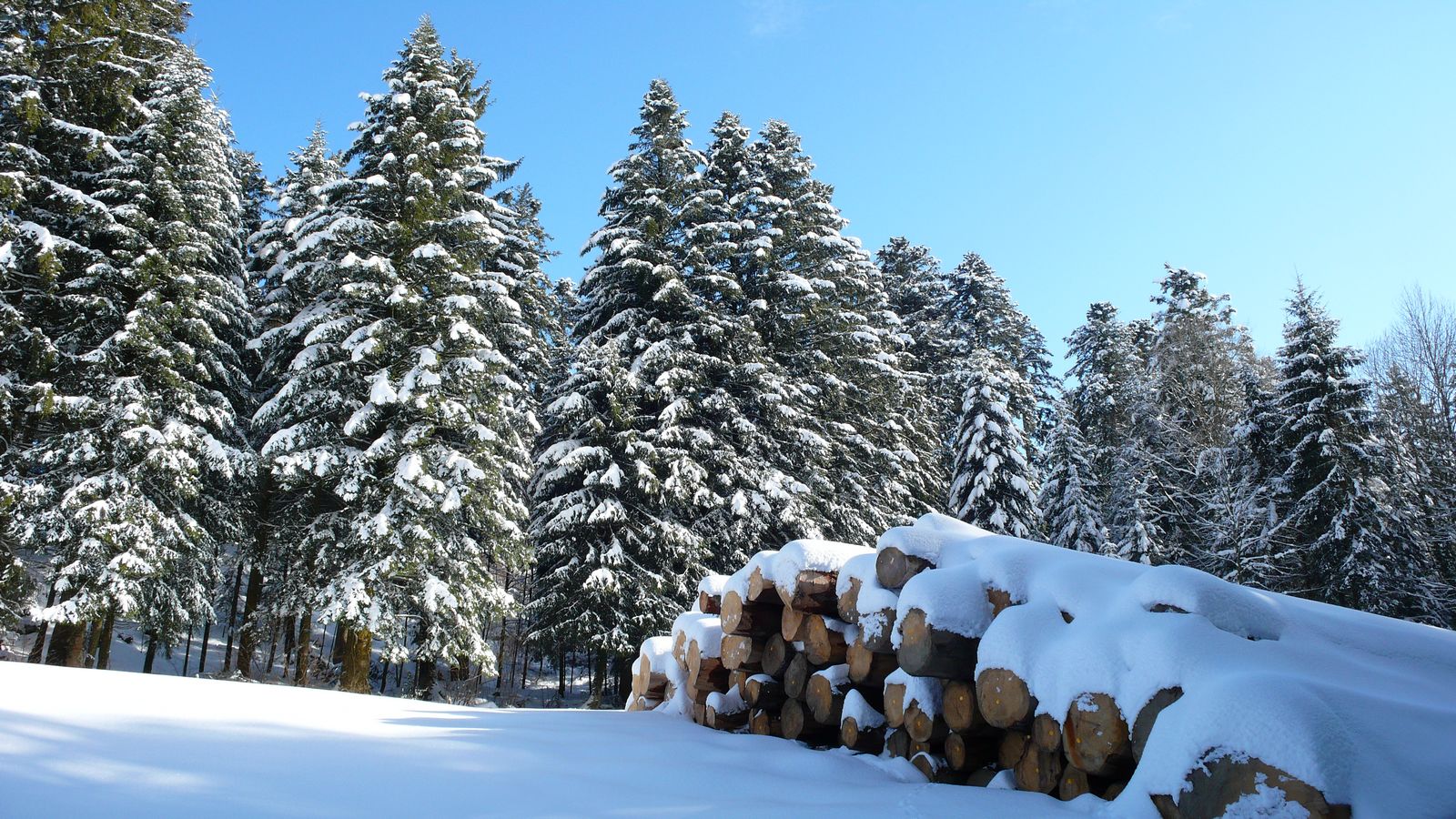 En hiver - Photo Claude Schneider - Copyrigth