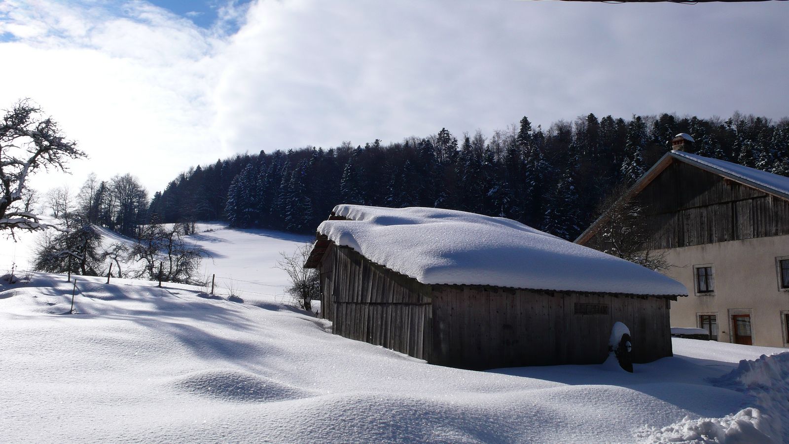 En hiver - Photo Claude Schneider - Copyrigth