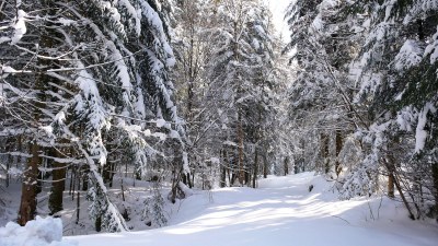 En hiver - Photo Claude Schneider - Copyrigth