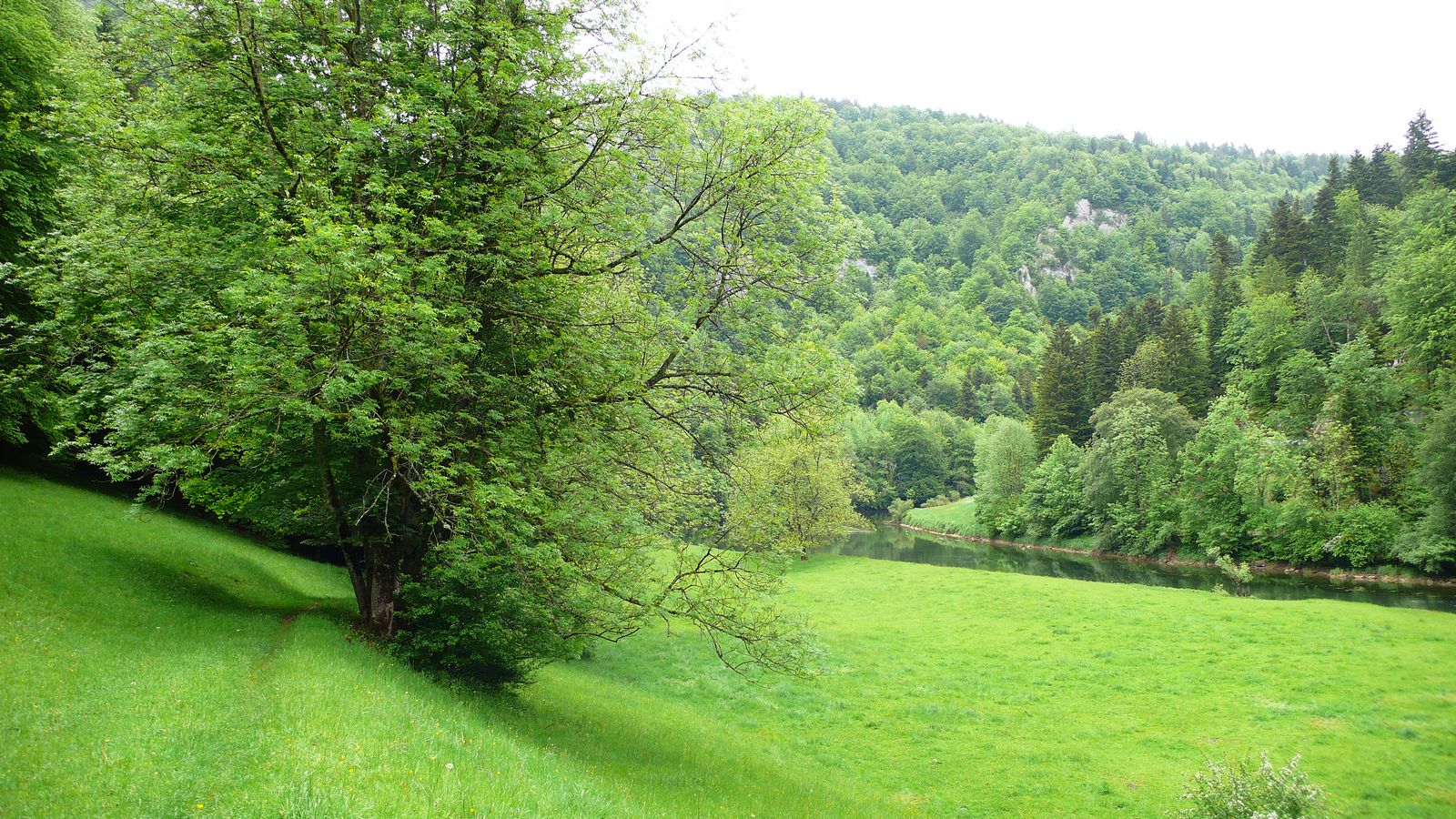 Au printemps au bord du Doubs - Photo Claude Schneider - Copyrigth
