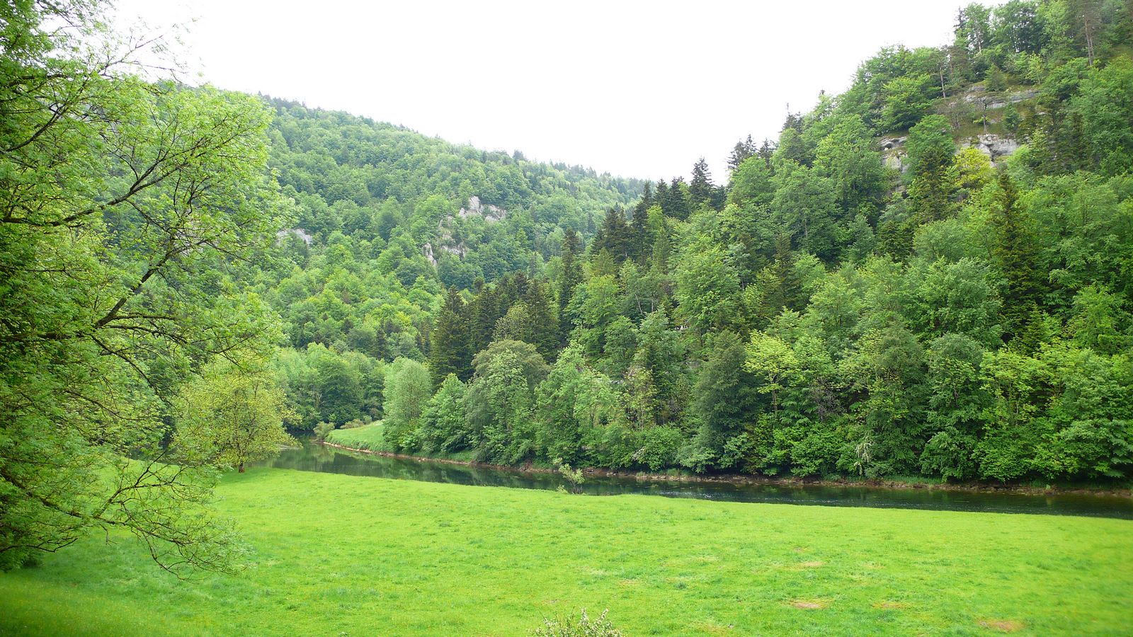 Au printemps - Photo Claude Schneider - Copyrigth