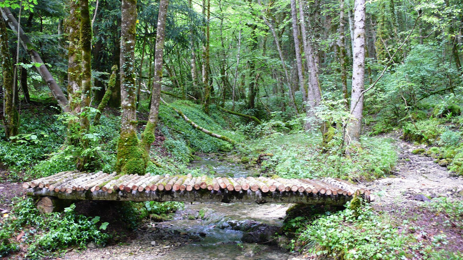 Sentier à la Caborde - Photo Claude Schneider - Copyrigth