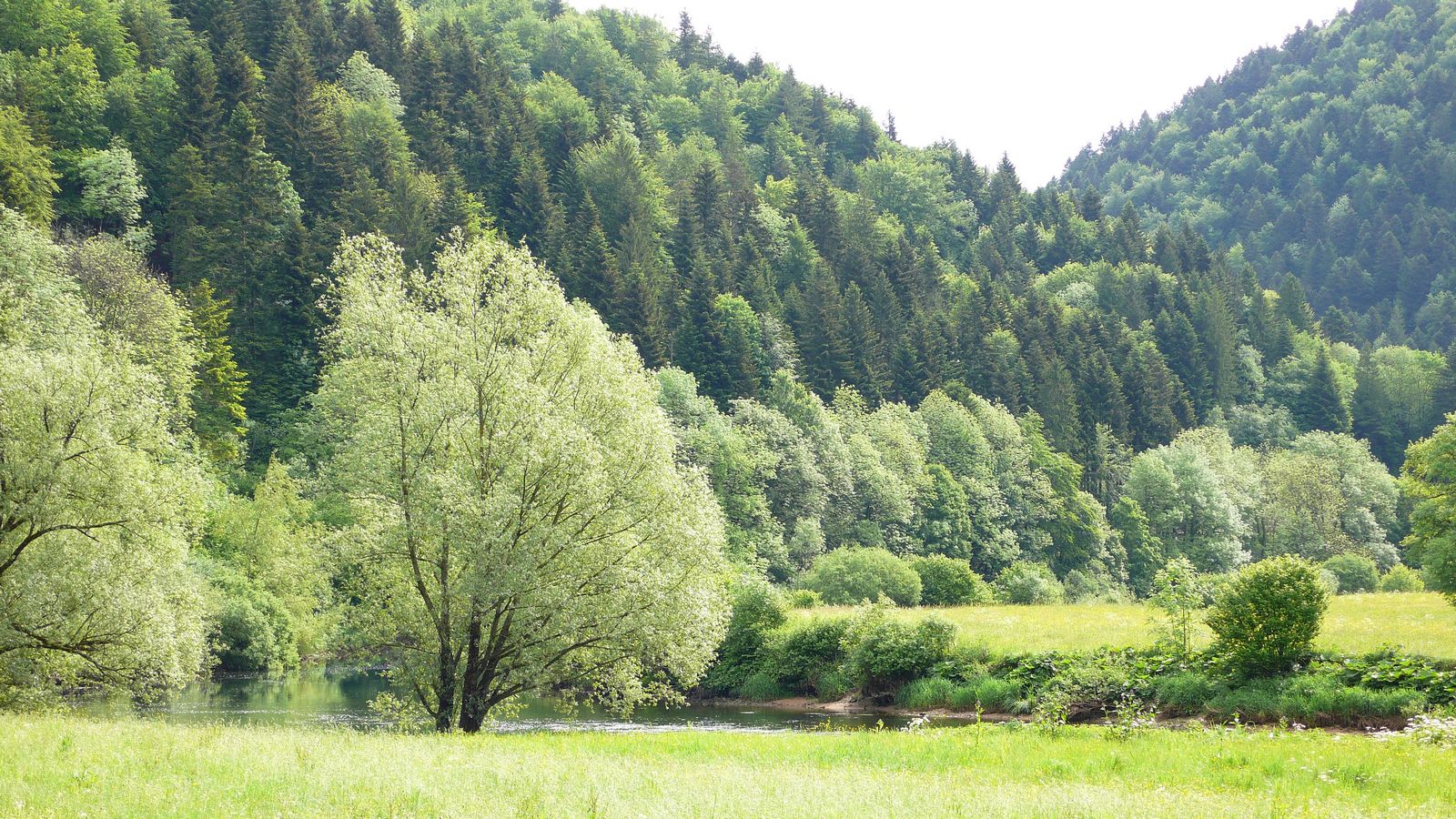 Printemps au bord du Doubs à Fuesse - Photo Claude Schneider - Copyrigth