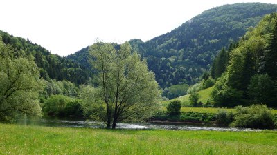 Au printemps au bord du Doubs - Photo Claude Schneider - Copyrigth