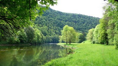 Au printemps au bord du Doubs à Fuesse - Photo Claude Schneider - Copyrigth