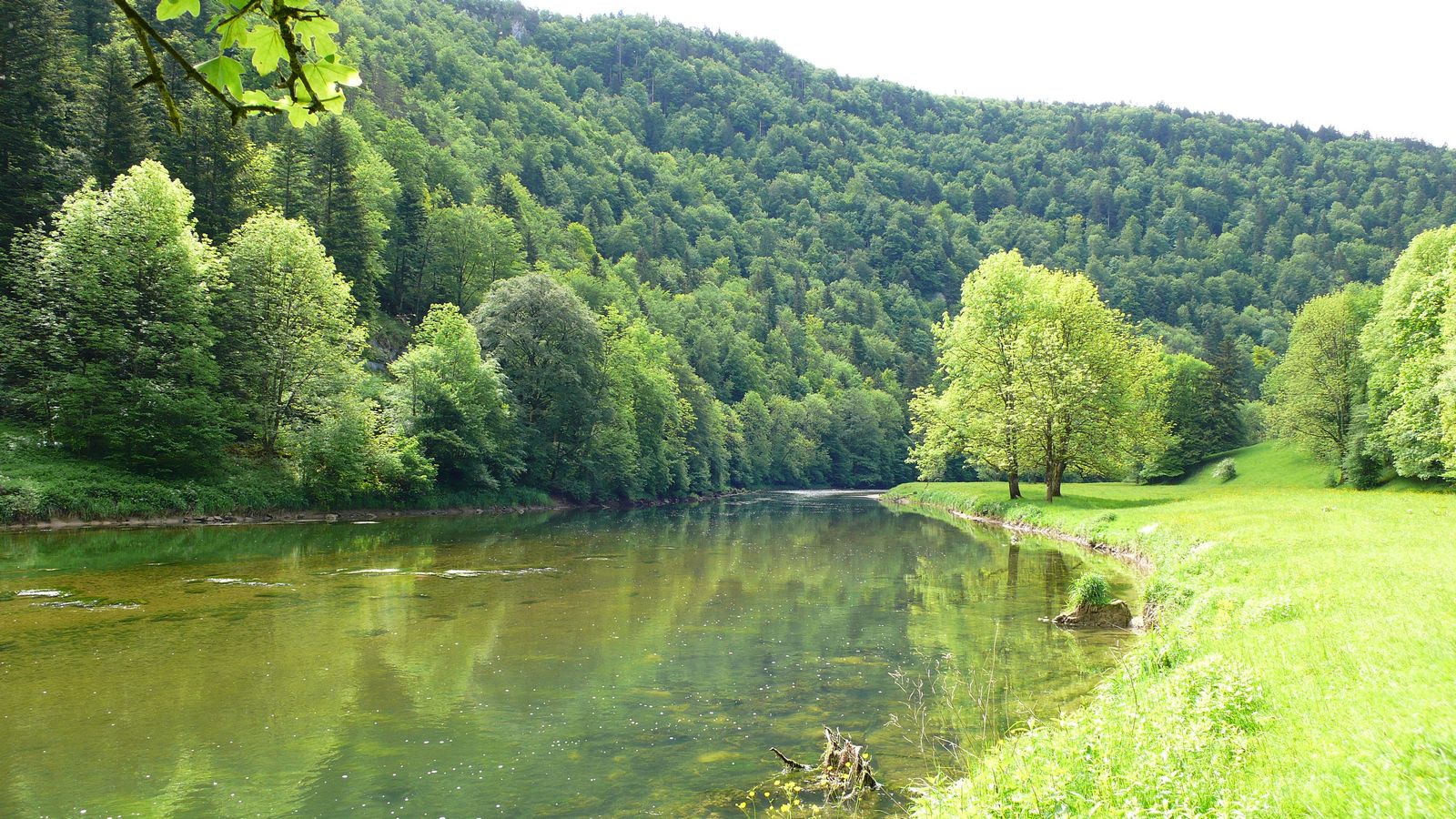 Au printemps au bord du Doubs - Photo Claude Schneider - Copyrigth