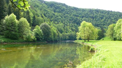 Au printemps au bord du Doubs - Photo Claude Schneider - Copyrigth