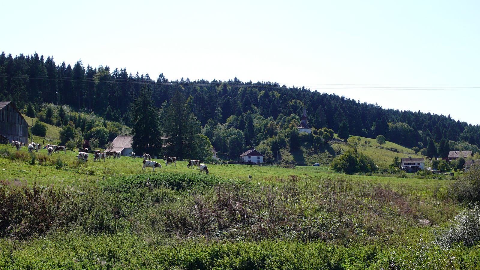 En bord du village - Photo Claude Schneider - Copyrigth