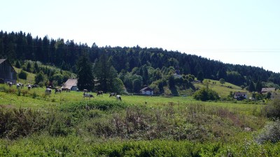 En bord du village - Photo Claude Schneider - Copyrigth