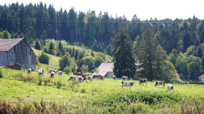 Au village en lisière - Photo Claude Schneider - Copyright