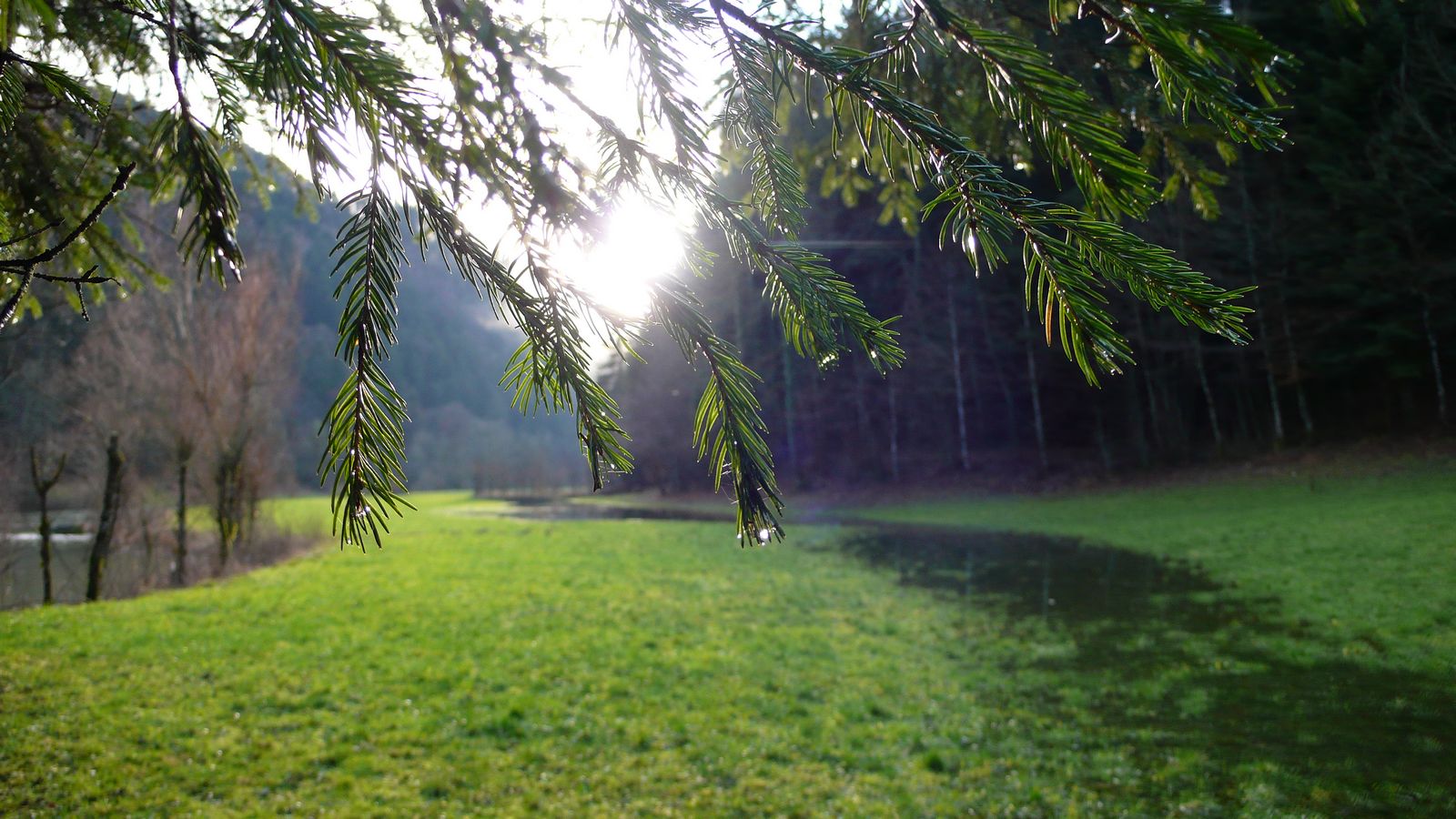 Au bord du Doubs à Fuesse - Photo Claude Schneider - Copyrigth