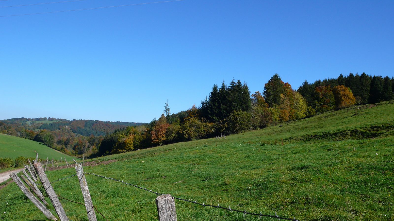 Pâturages - Photo Claude Schneider - Copyrigth